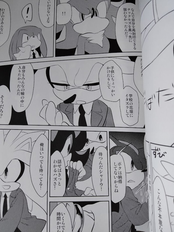 Sonic the Hedgehog Doujinshi Sonic X Shadow (B5 50pages) ROOT8Beat