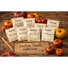 Heirloom Tomato Seed Collection 9 Varieties 135 Seeds Total Non-GMO Garden
