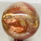 Natural Petrified Wood Polished Stone Quartz Crystal Sphere Ball Healing 2480G — photo 6