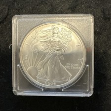 $1 Dollar 2004 Walking Liberty "American Silver Eagle" in capsule Toned