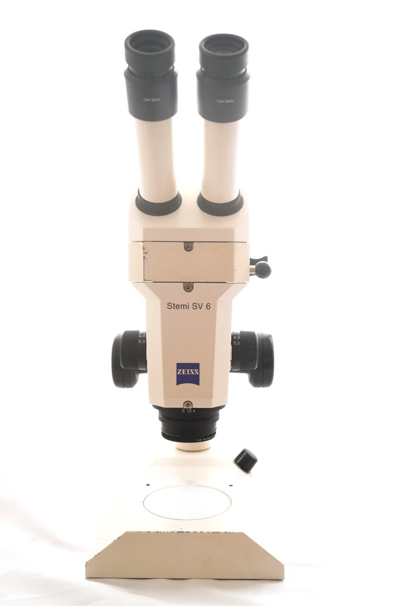 Zeiss Stemi SV6 ZOOM microscopio estéreo trinocular