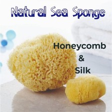 Esponja de mar natural del mar Mediterráneo conjunto de panal y seda