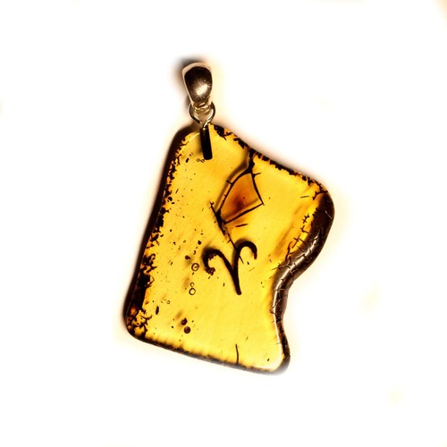 HONIGFARBE BALTISCHER BERNSTEIN AMULETT ANHÄNGER MIT STERNZEICHEN ST 925 - Bild 8 von 27