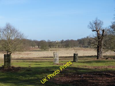 Photo 12x8 View towards White Lodge Kingston Upon Thames  c2015