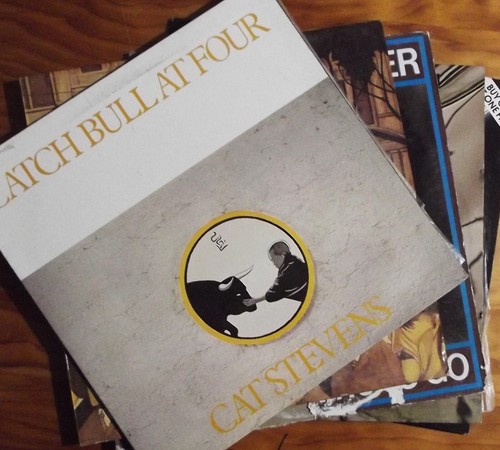 BULK 5 LPS, CAT STEVENS, BUSHWACKERS, JESSE WINCHESTER, COMPILATION