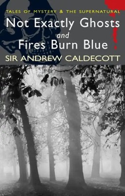 Not Exactly Ghosts/Fires Burn Blue: AND Fires Burn Blue (Tales of Mystery & the