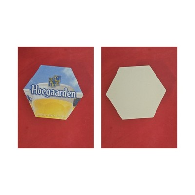 Hoegaarden Witbier-biere blanche Brauerei Bierdeckel Bier