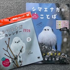 Shimaenaga Calendar 2026 Unused White Fairy Bird 2026 Wall Calendar