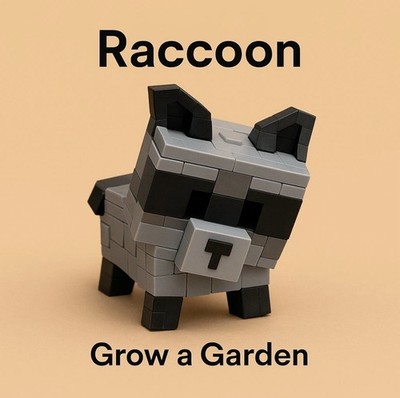 Raccoon Age 50+ | Grow a Garden | Delivery on the same Day