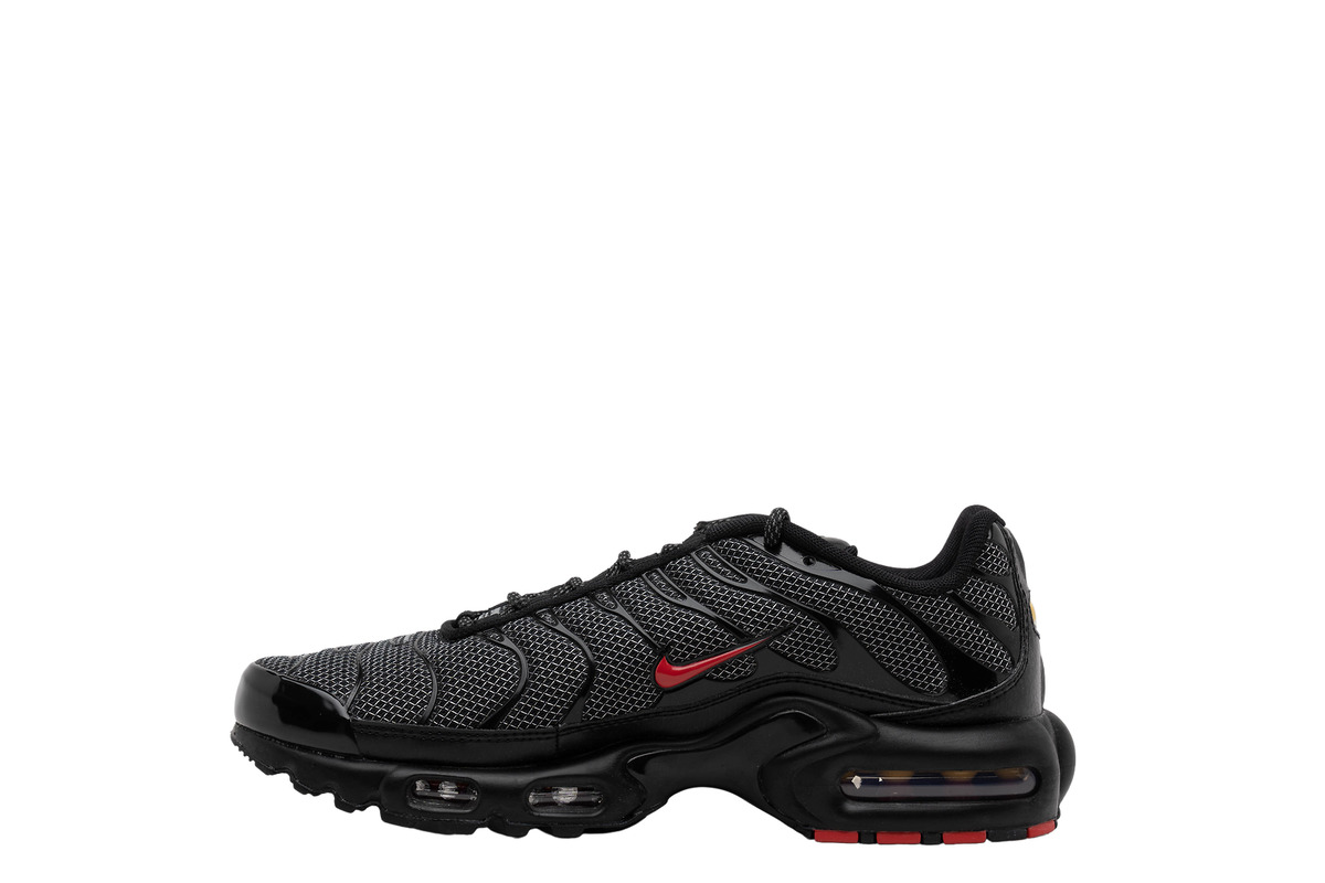 sensor I særdeleshed Agnes Gray Nike Air Max Plus Bred for Sale | Authenticity Guaranteed | eBay