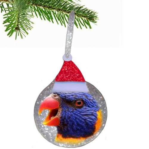 Rainbow Lorikeet Parrot Sparkly Silver 