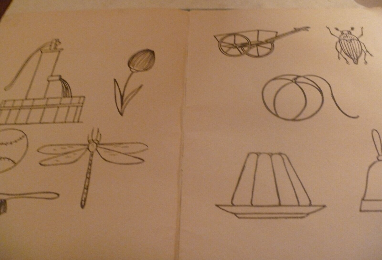 Picture 6 of 13