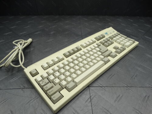 DFI Mechanical Keyboard Vintage Personal Switches RT101+ - Picture 4 of 8