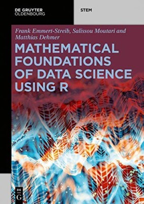 Mathematical Foundations of Data Science Using R (De Gruyter STEM) Paperback