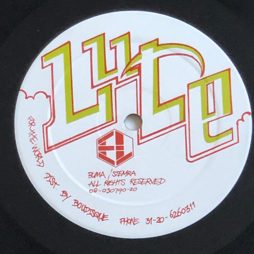 Fall Vinyl Wladimir M As The Leaves Fall From The Trees Goin' South 12