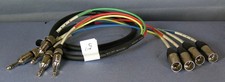 5ft Seismic Audio 4 Channel 1/4  TRS Male to XLR Male Snake Cable 26 AWG  2 