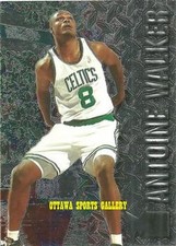 1996-97 FLEER METAL ANTOINE WALKER BOSTON CELTICS #153 RC 10V51
