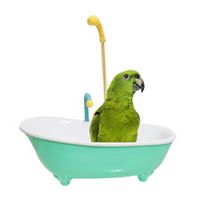 1/2PCS Automatic Parrot Intelligentbath Bird Shower Bathtub Supplies Blue Cute P