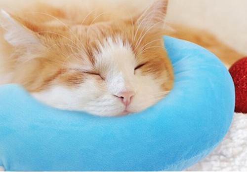 Pet Cat Pillows for Cats Dogs Ultra Soft Fluffy Pet Calming Toy U Shape Cuddler - Picture 25 of 57
