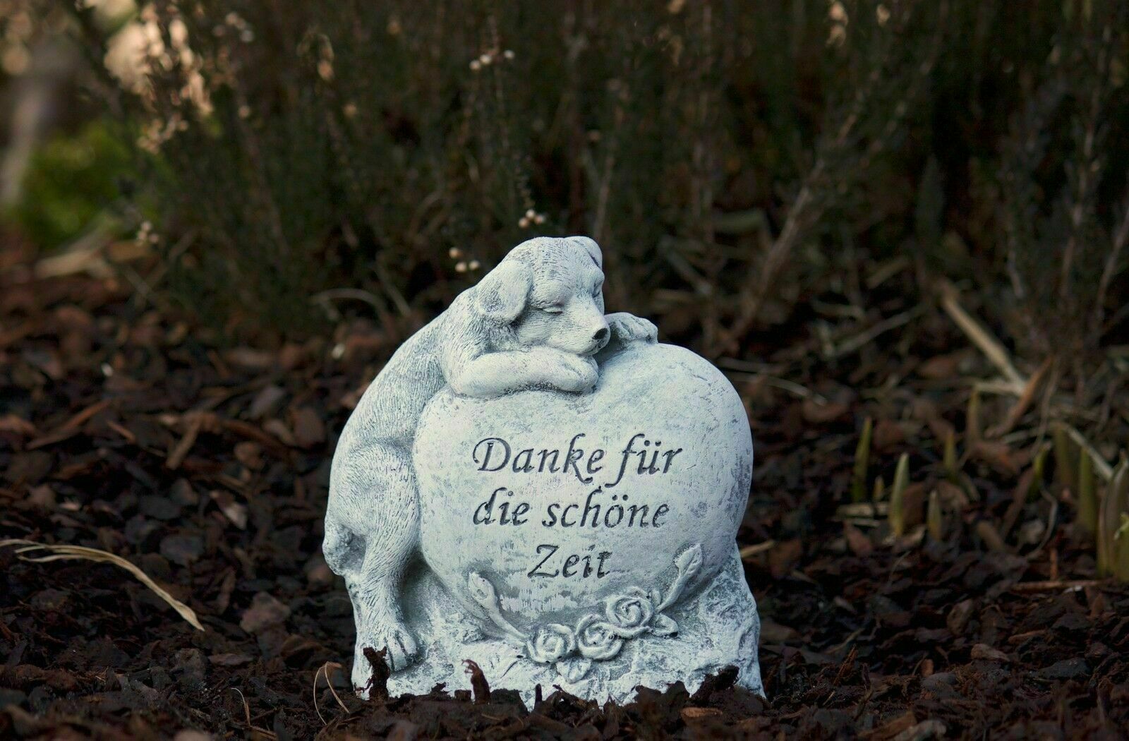 Bild 1 von 5