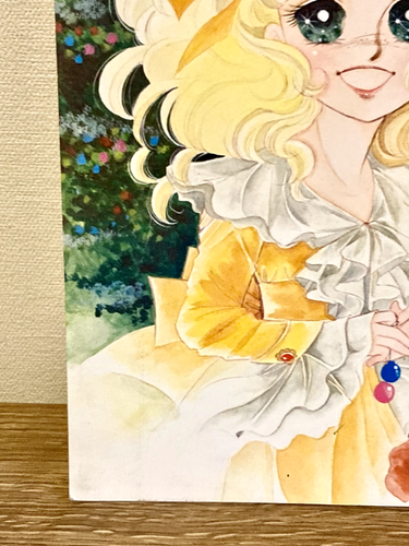 Kodansha Yumiko Igarashi Candy Candy Illustration Collection With Poster 1 - Picture 14 of 15