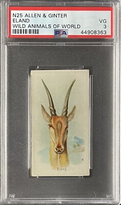 1888 N25 Allen & Ginter Wild Animals Of The World ELAND PSA 3 VG