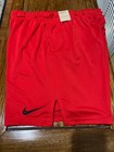 Men's Nike Dri-Fit Knit Training Sport Shorts DD1887 657 Size L, XL, 2XL
