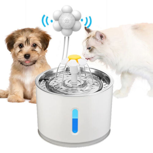 Distributeur d'eau pour animaux de compagnie fontaine interrupteur intelligent capteur de mouvement d'eau pour chat - Photo 1/6