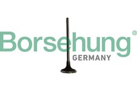 Einlassventil Borsehung B10334 FüR Bmw 1Er F21 F20 3Er F30 F80 Touring F31 114