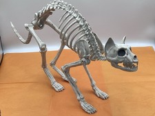Halloween Skeleton Cat Large 20 Inch Arched Back Prowling Cat Bones Spooky Decor