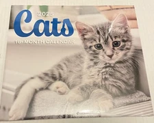 2025 Cats And Kittens 16 Month Calendar 11 x 10 Sealed New.