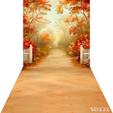 10'x20'CP Maple Tree path Fall Scene Microfiber Fabric background backdrop SD222