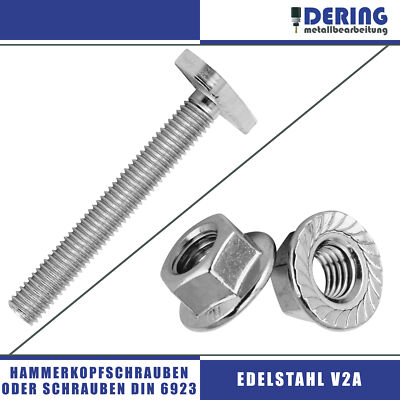 Edelstahl Hammerkopfschrauben Muttern A2 Solar Photovoltaik M3 M4 M5 M6 M8 M10