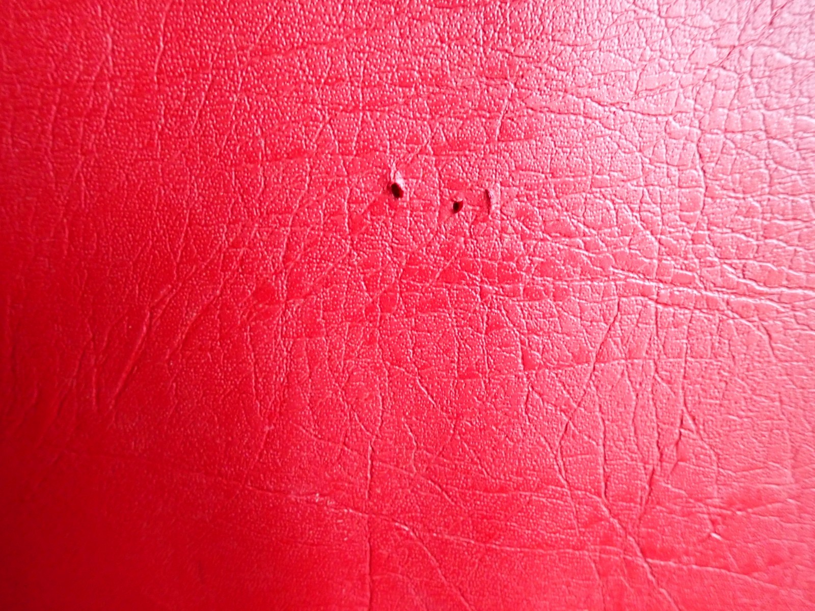 Picture 5 of 8