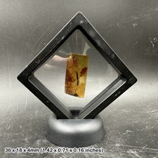 Genuine Cretaceous Amber with unidentified insect Inclusion in 3D Floating