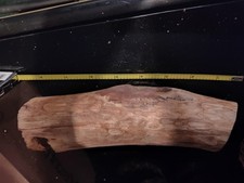 Black Walnut Branch Rough Cut No Bark