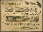 Rare 1853ca - The 3 Kingdoms of Nature - Encyclopedic Board, School