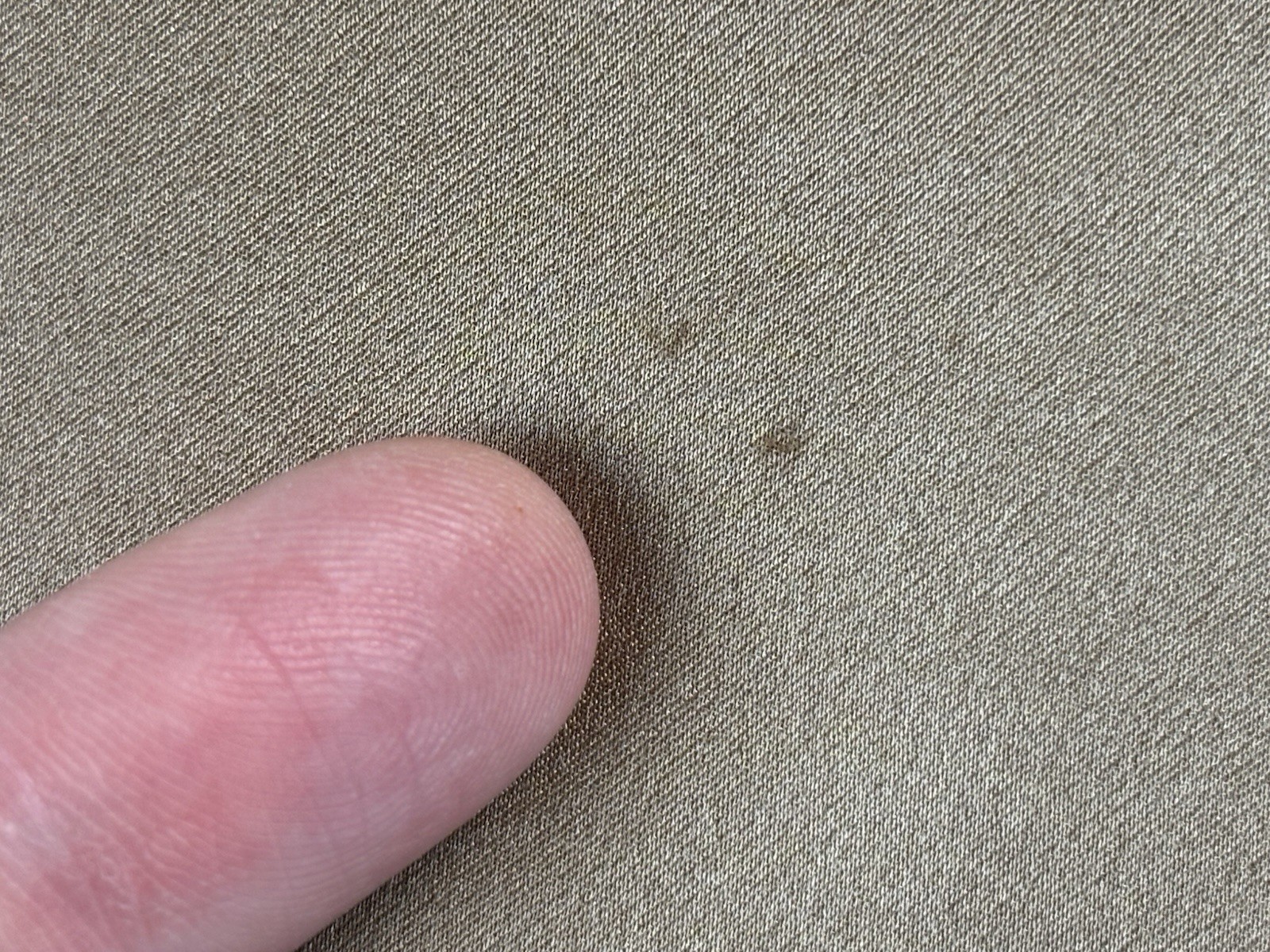 Picture 7 of 8