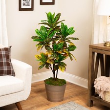 Northlight 45.75" Green, Yellow and Red Potted Artificial Croton Tree