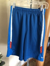 Boys Nike Drifit Shorts size L EUC