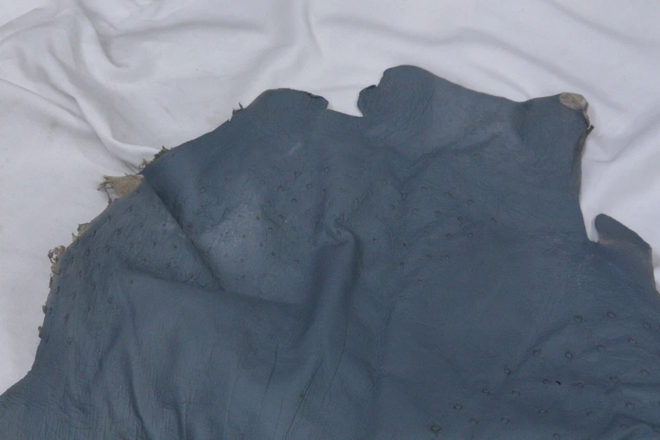 Piel de cuero gris azul avestruz 14 sq. ft 100 % genuino Foto 3 de 4