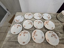 MITTERTEICH BAVARIA GERMANY PORCELAIN NORWAY ROSE SALAD PLATES SET OF 12