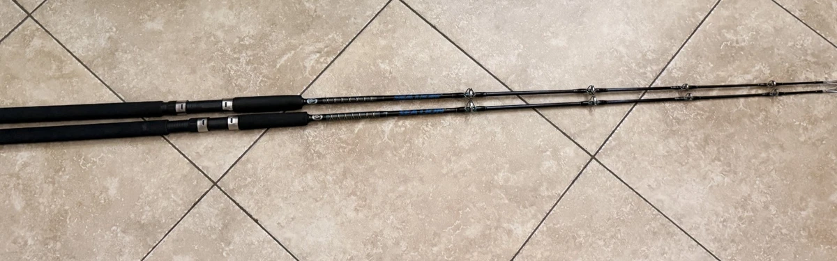 5000 saltwater reel Daiwa Saltiga Spinning Reel