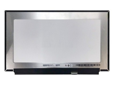 LED-Bildschirm 15,6'' AUO B156HAN12.0 Matt 300Hz eDP1.4 40Pin