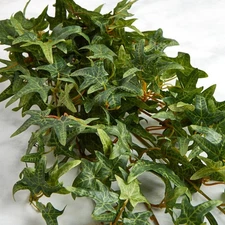 Set of 2 Factory Direct Craft Poly Silk Variegated Ivy 20" Decorative Bushes