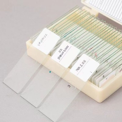 Mikroskop Objektträger geeignet für junge Studenten, die biologische Wissensch