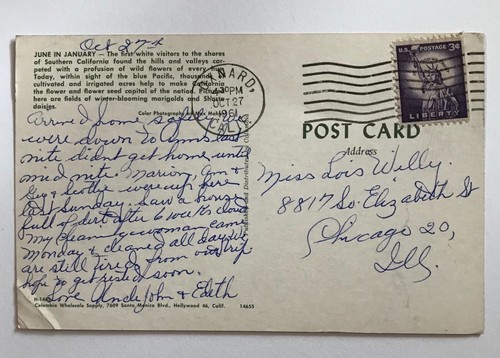 Vintage Postcard 1961 Southern California Floral Marigolds posted 3 c Stamp - Bild 2 von 2