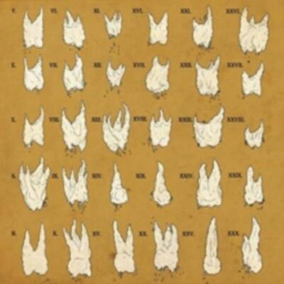 YEESH: CONFIRMATION BIAS - CD *BRAND NEW*