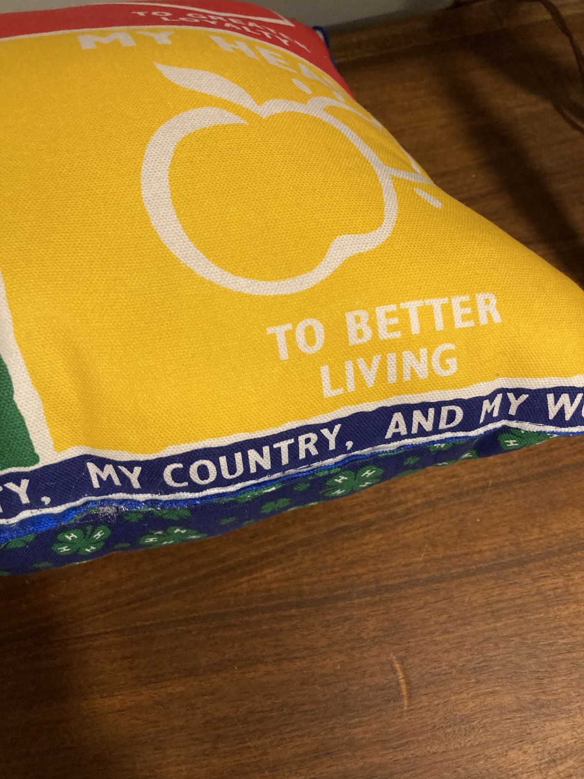 4-H  4H Pillow Complete Country Girl Farmhouse Hearts Hands Motto 15” X 15”