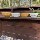 PYREX Butterfly Gold Cinderella Nesting Mixing Bowls Set of 4: 441,442,443 & 444